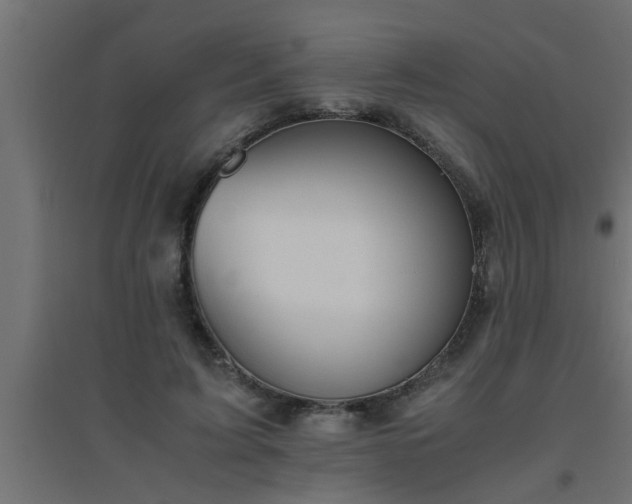 X0000094800595200711241425