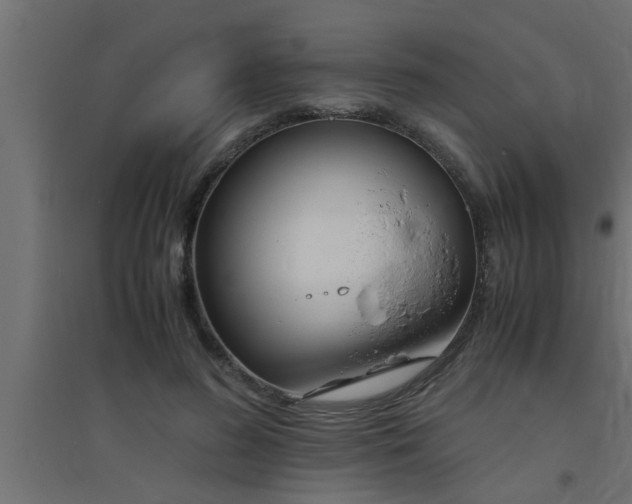 X0000094800596200711241425