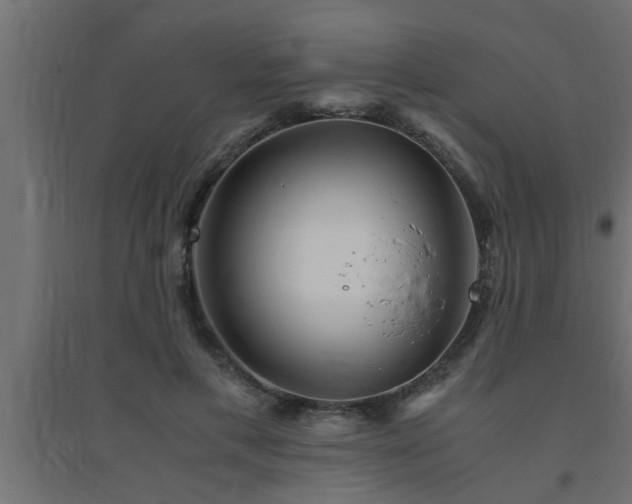 X0000094800597200711241425