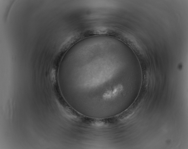 X0000094800598200711241425