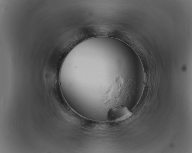 X0000094800599200711241425