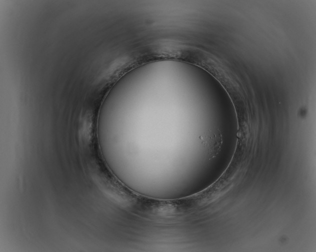 X0000094800600200711241425