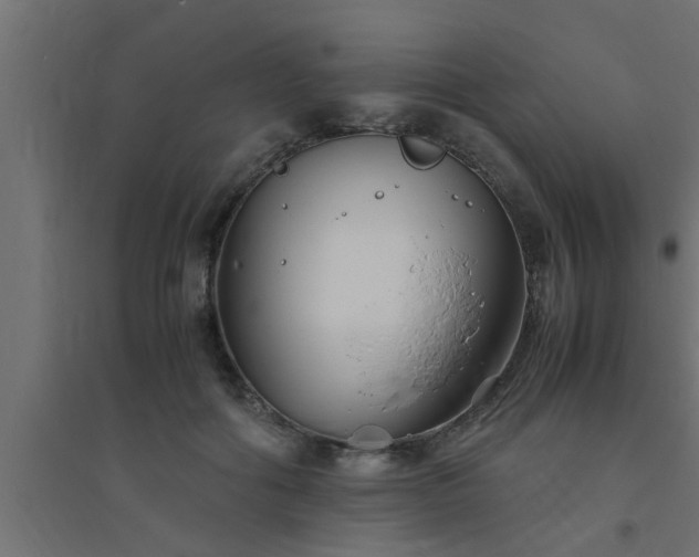 X0000094800602200711241425