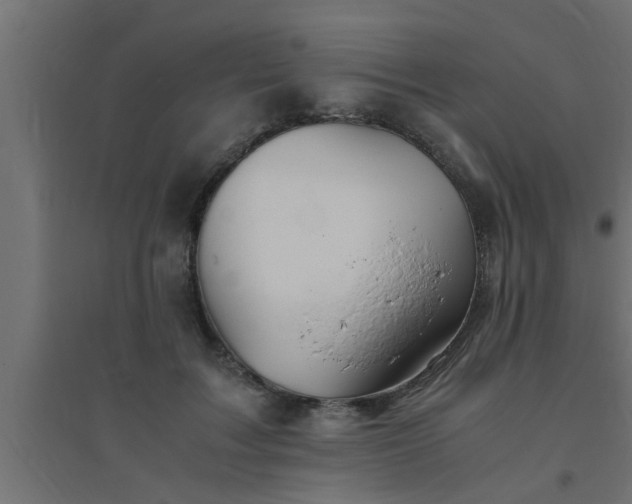 X0000094800603200711241425