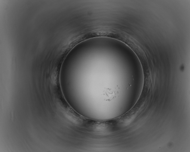 X0000094800604200711241425