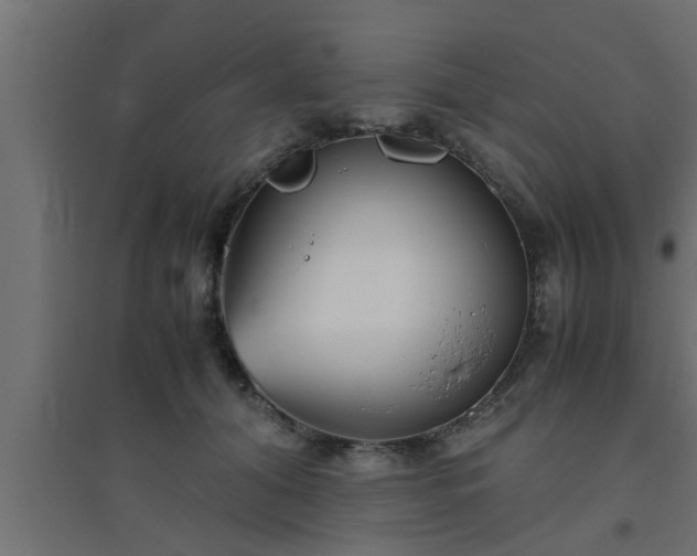 X0000094800608200711241425