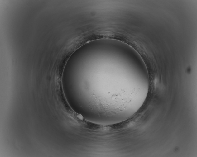 X0000094800609200711241425