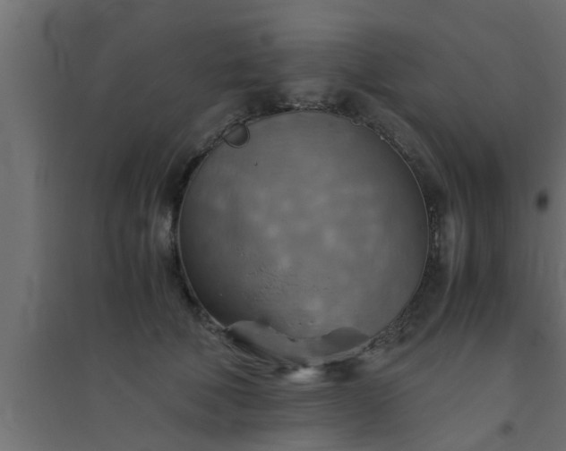 X0000094800610200711241425
