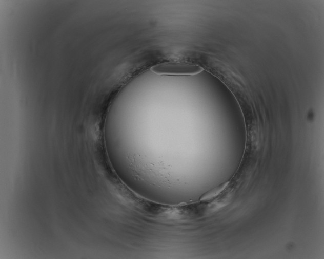 X0000094800611200711241425