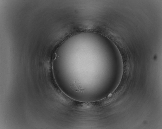 X0000094800612200711241425