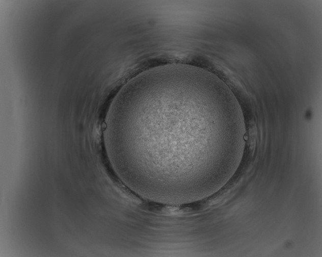 X0000094800613200711241425