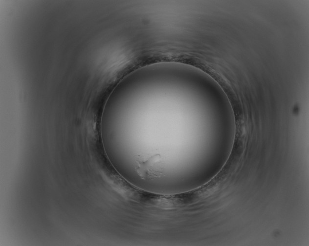 X0000094800615200711241425