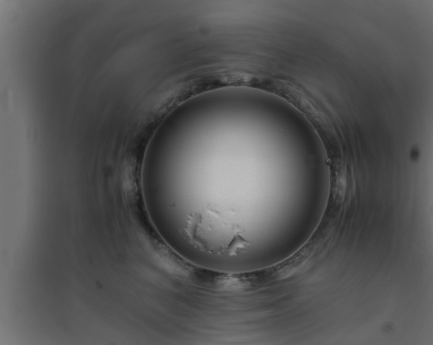 X0000094800616200711241425