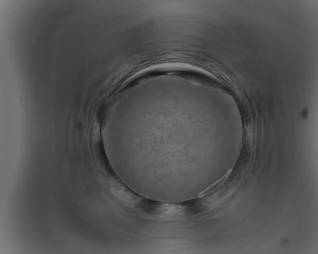 X0000094800617200711241425