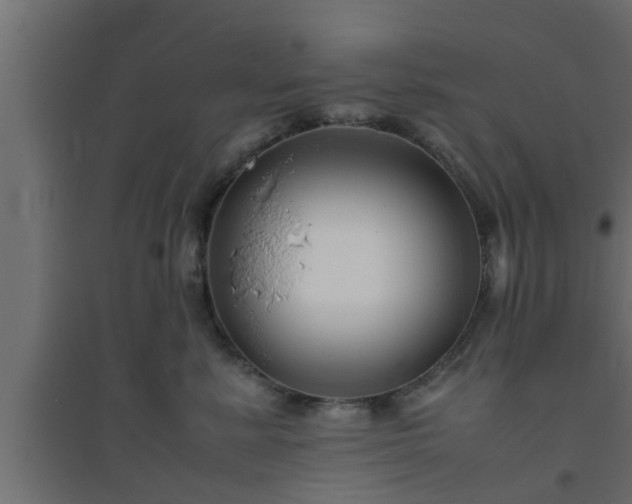 X0000094800619200711241425