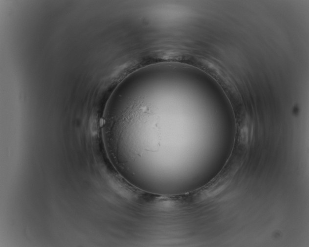 X0000094800620200711241425