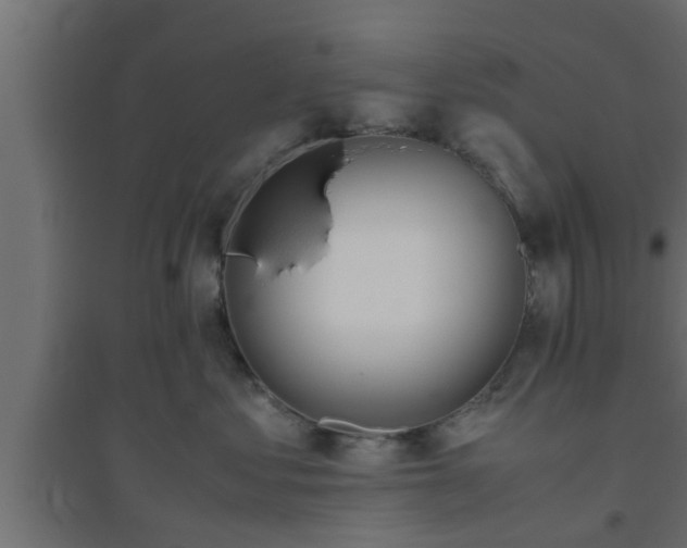 X0000094800621200711241425