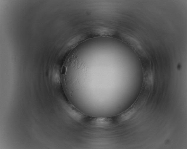 X0000094800622200711241425