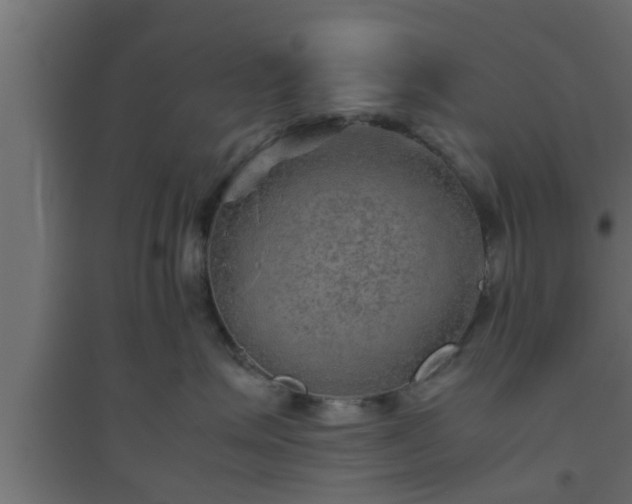 X0000094800623200711241425