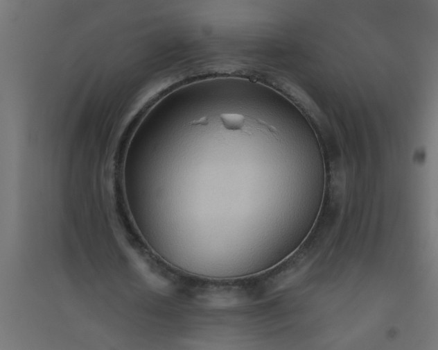 X0000094800626200711241424