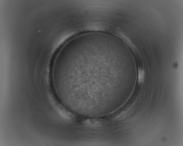 X0000094800627200711241424