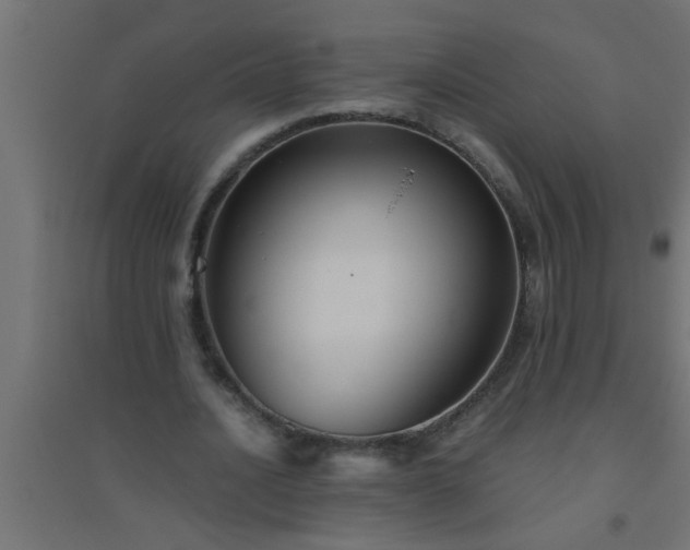 X0000094800628200711241424