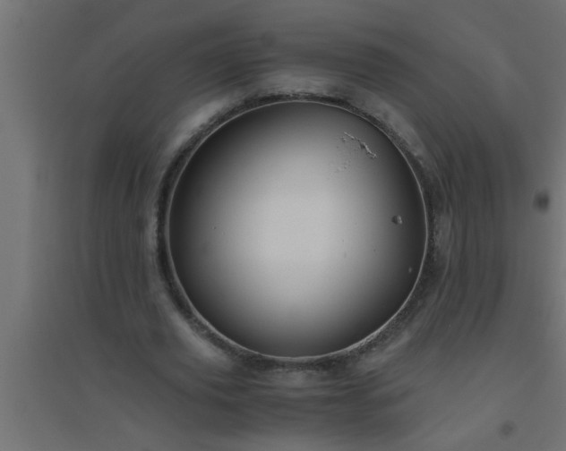 X0000094800629200711241424