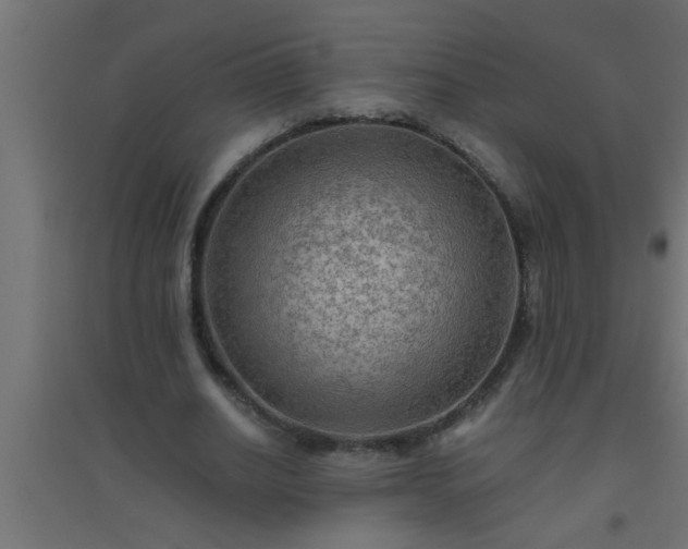 X0000094800630200711241424