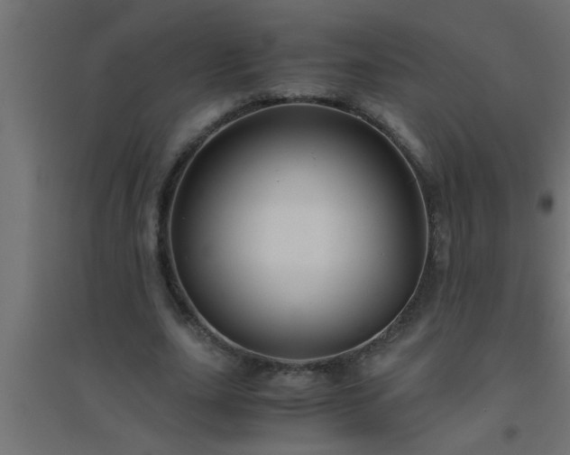 X0000094800631200711241424