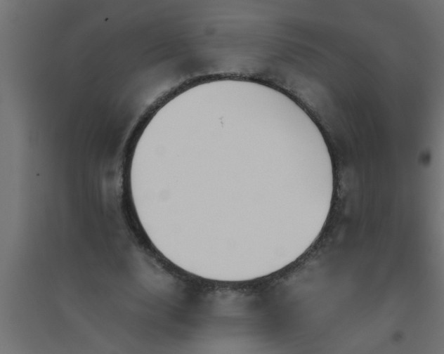 X0000094800632200711241424