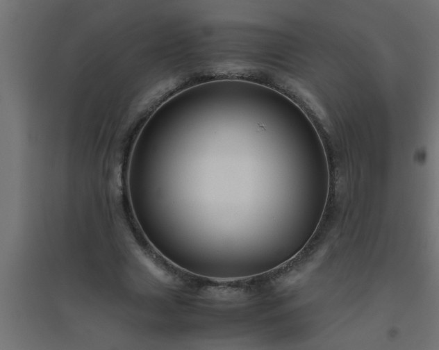 X0000094800633200711241424