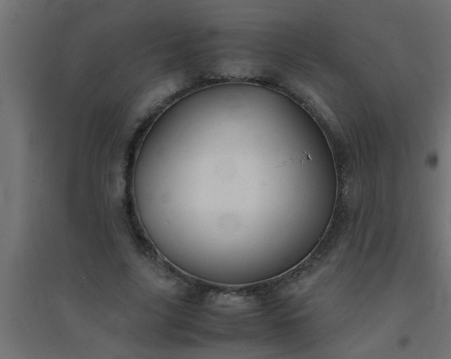 X0000094800635200711241424