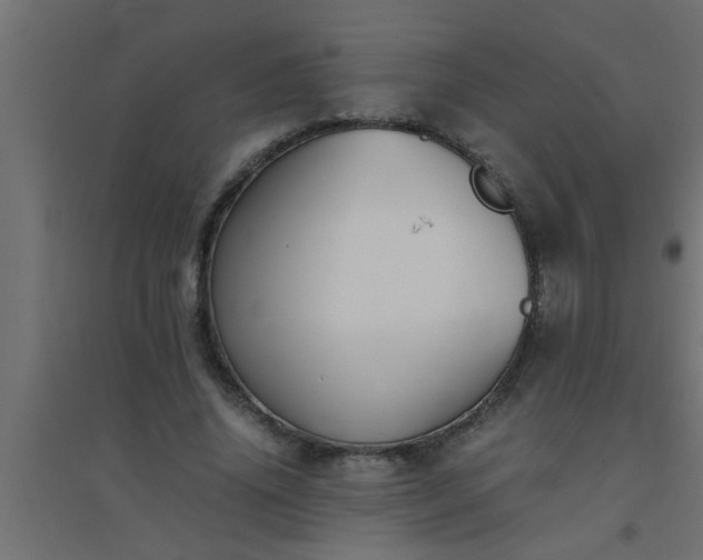 X0000094800636200711241424