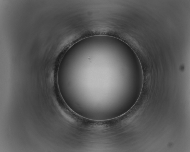 X0000094800638200711241424