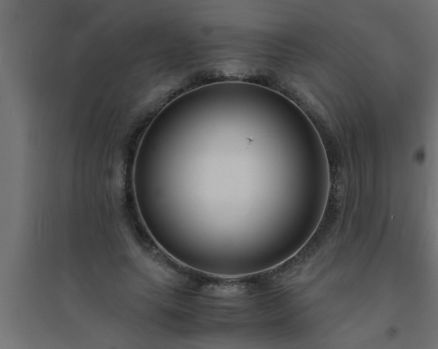 X0000094800639200711241424