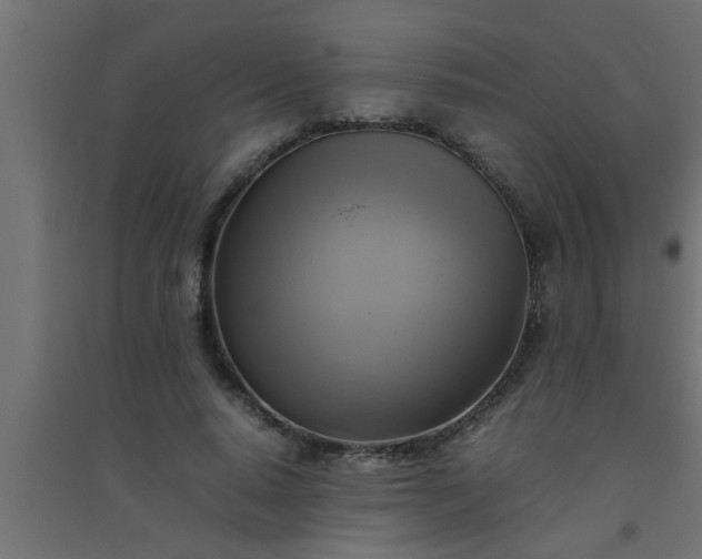 X0000094800640200711241424