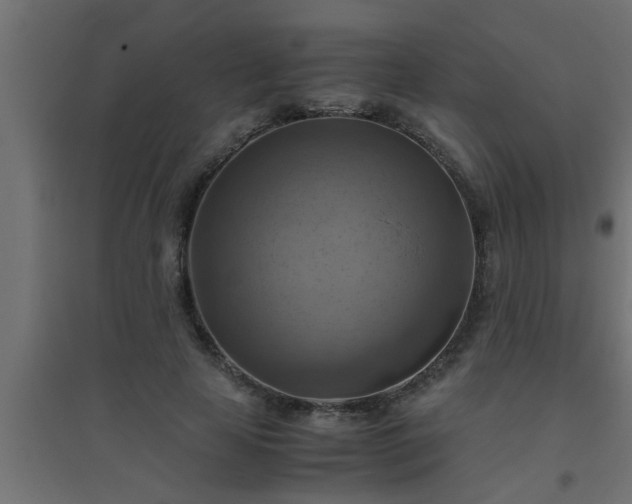 X0000094800641200711241424