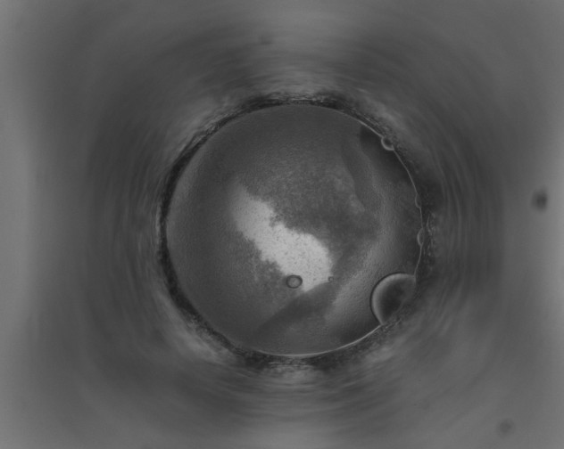 X0000094800642200711241424