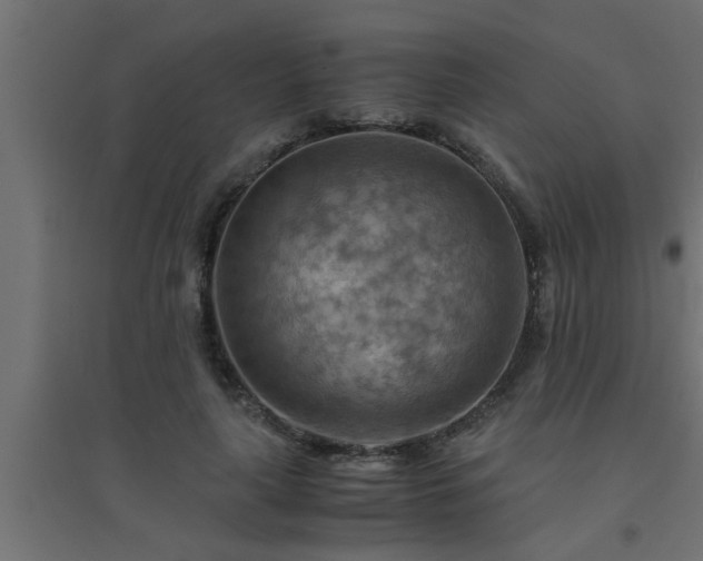 X0000094800643200711241424