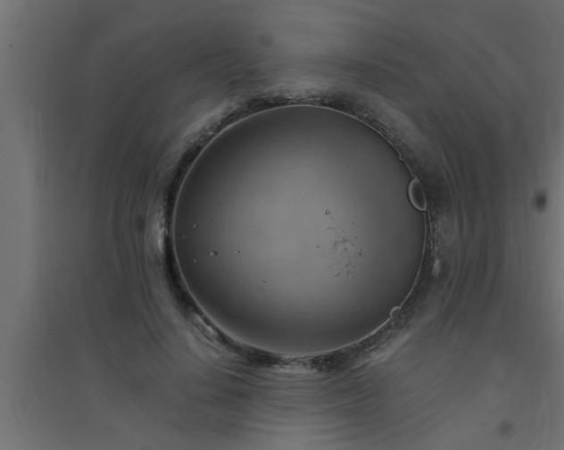 X0000094800644200711241425