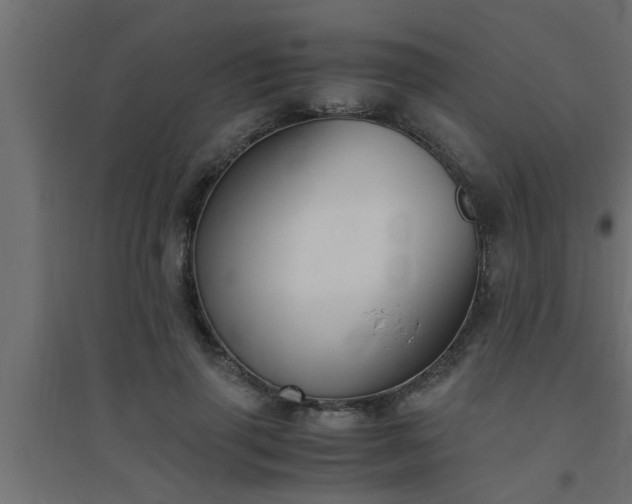 X0000094800645200711241425