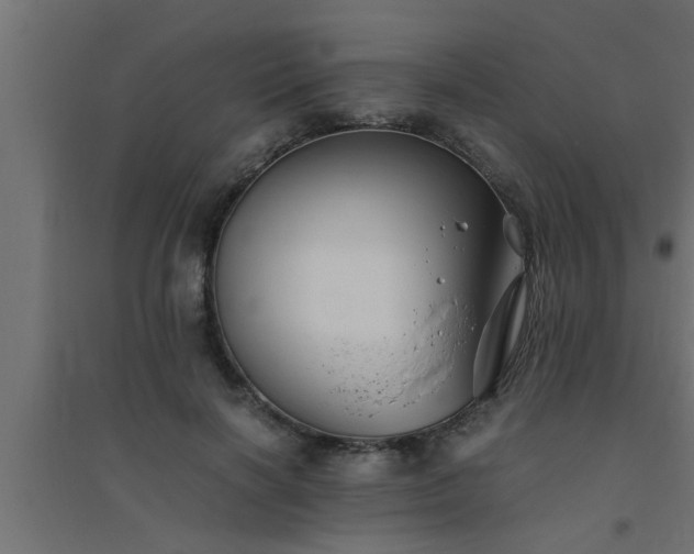 X0000094800646200711241425