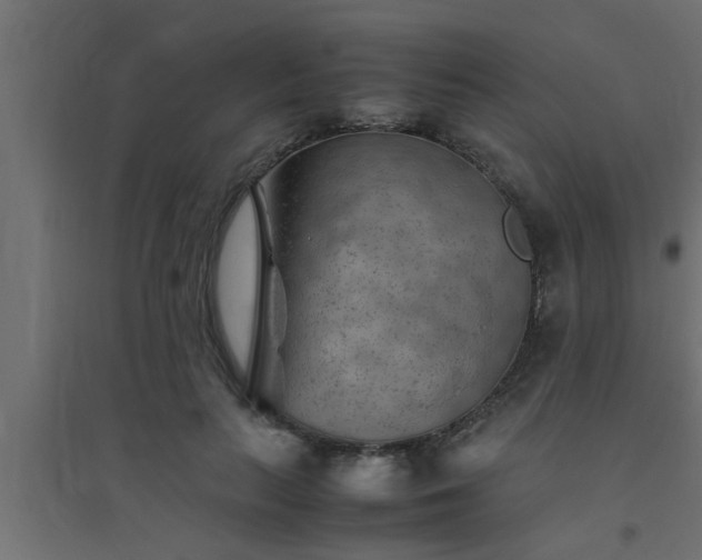 X0000094800647200711241425