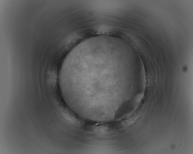 X0000094800648200711241425