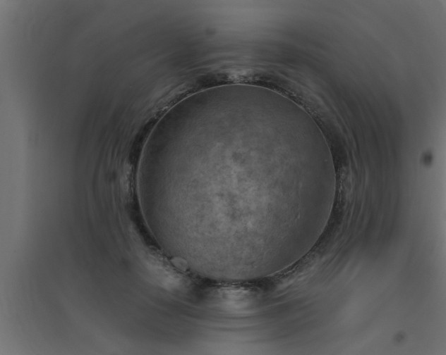 X0000094800650200711241425