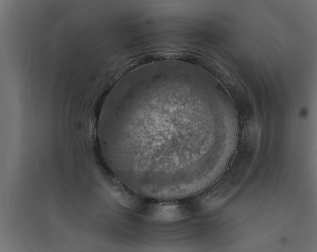 X0000094800651200711241425