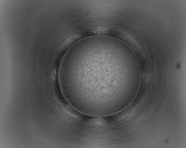X0000094800652200711241425