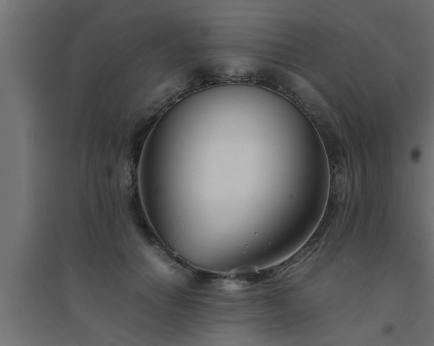 X0000094800654200711241425