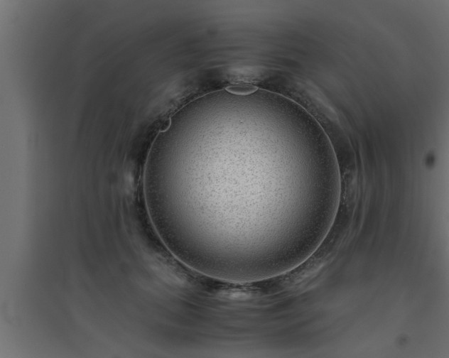 X0000094800655200711241425