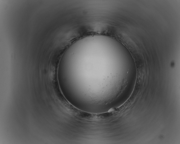 X0000094800656200711241425